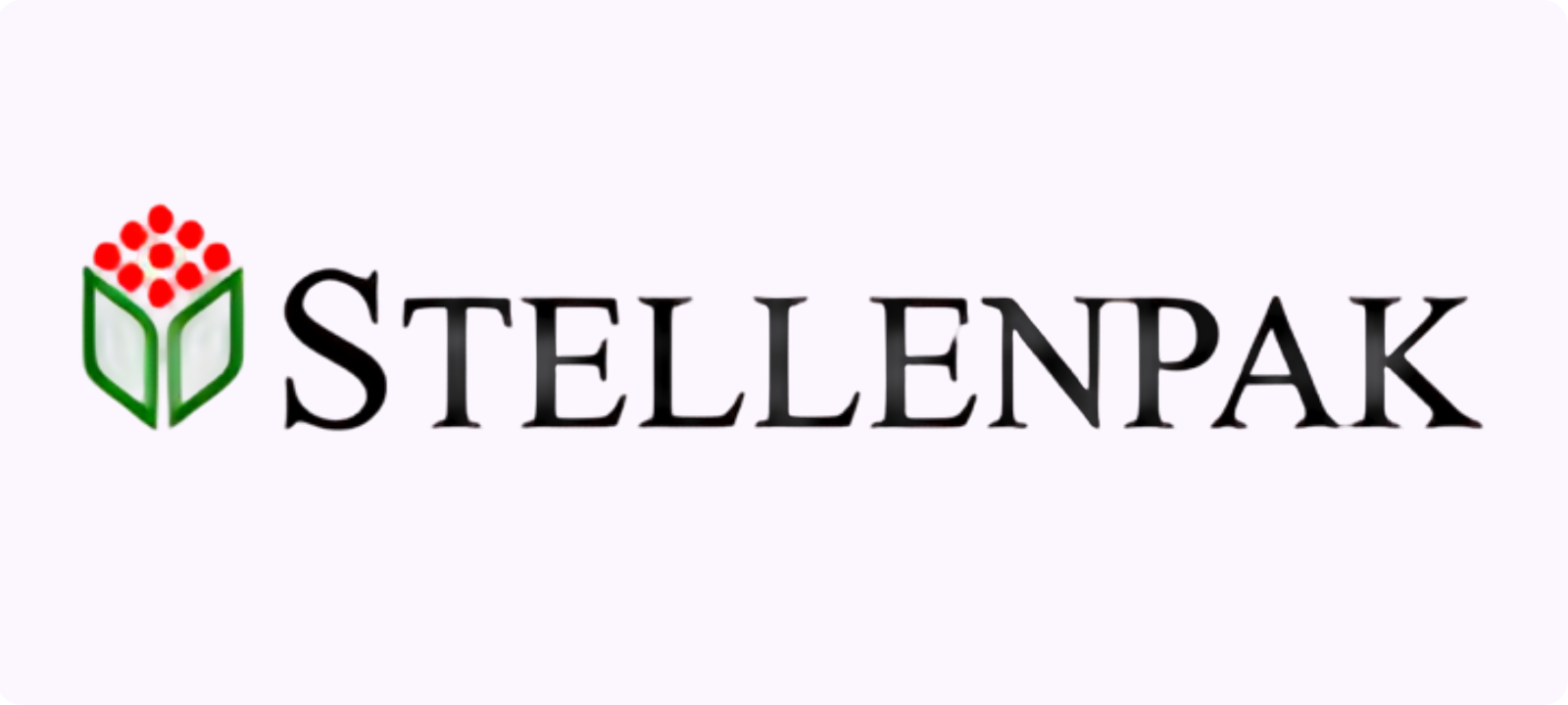Stellenpak logo